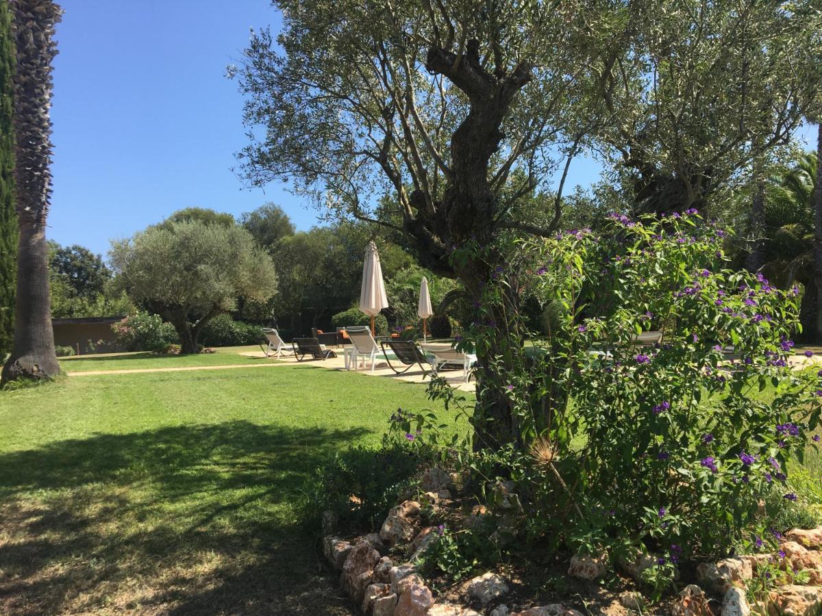 Clos Des Vignes Pampelonne Vineyard Ramatuelle Bagian luar foto